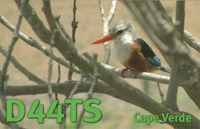 QSL D44TS